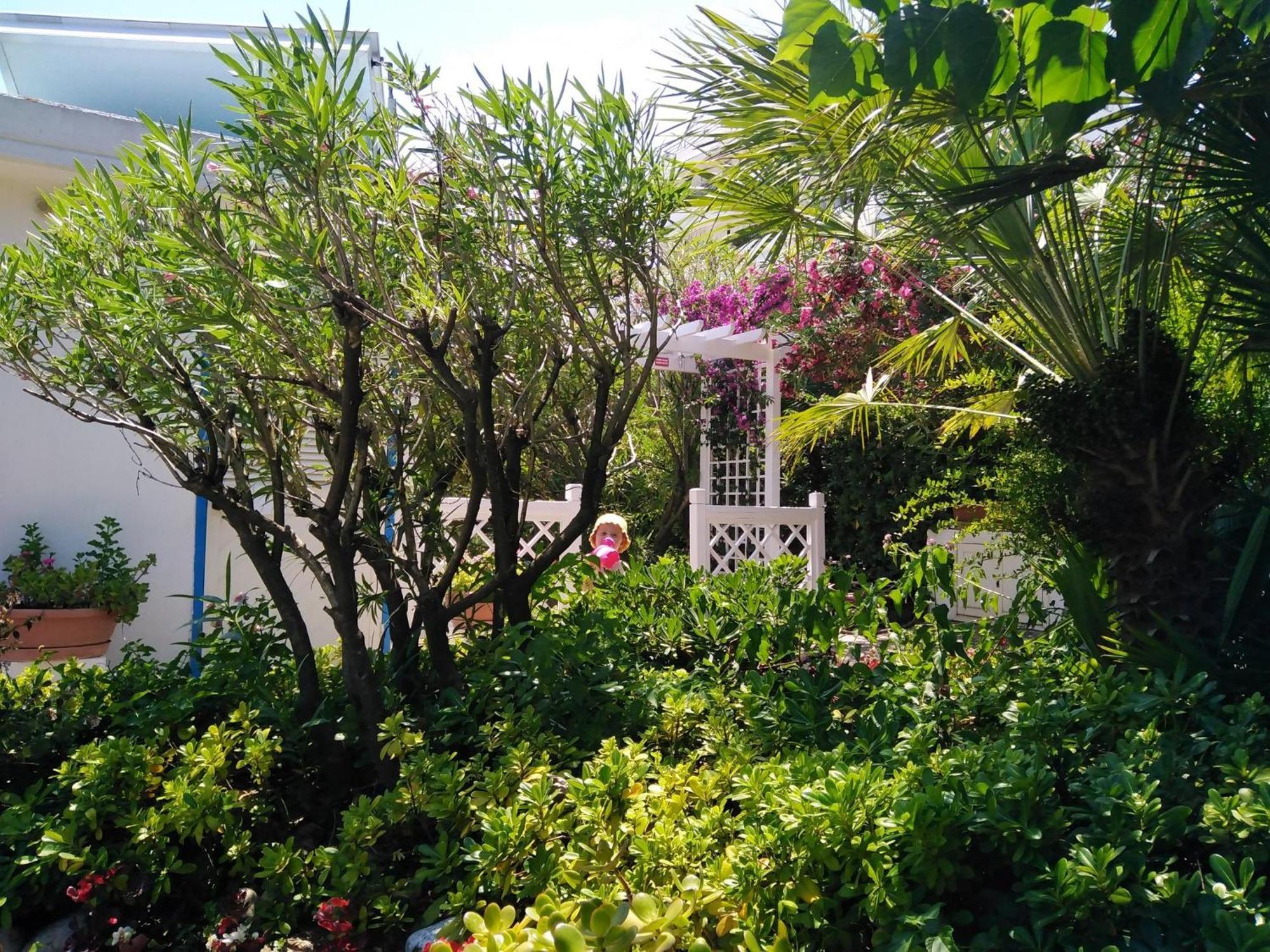 Hotel Parco Delle Rose Силви Марина Екстериор снимка